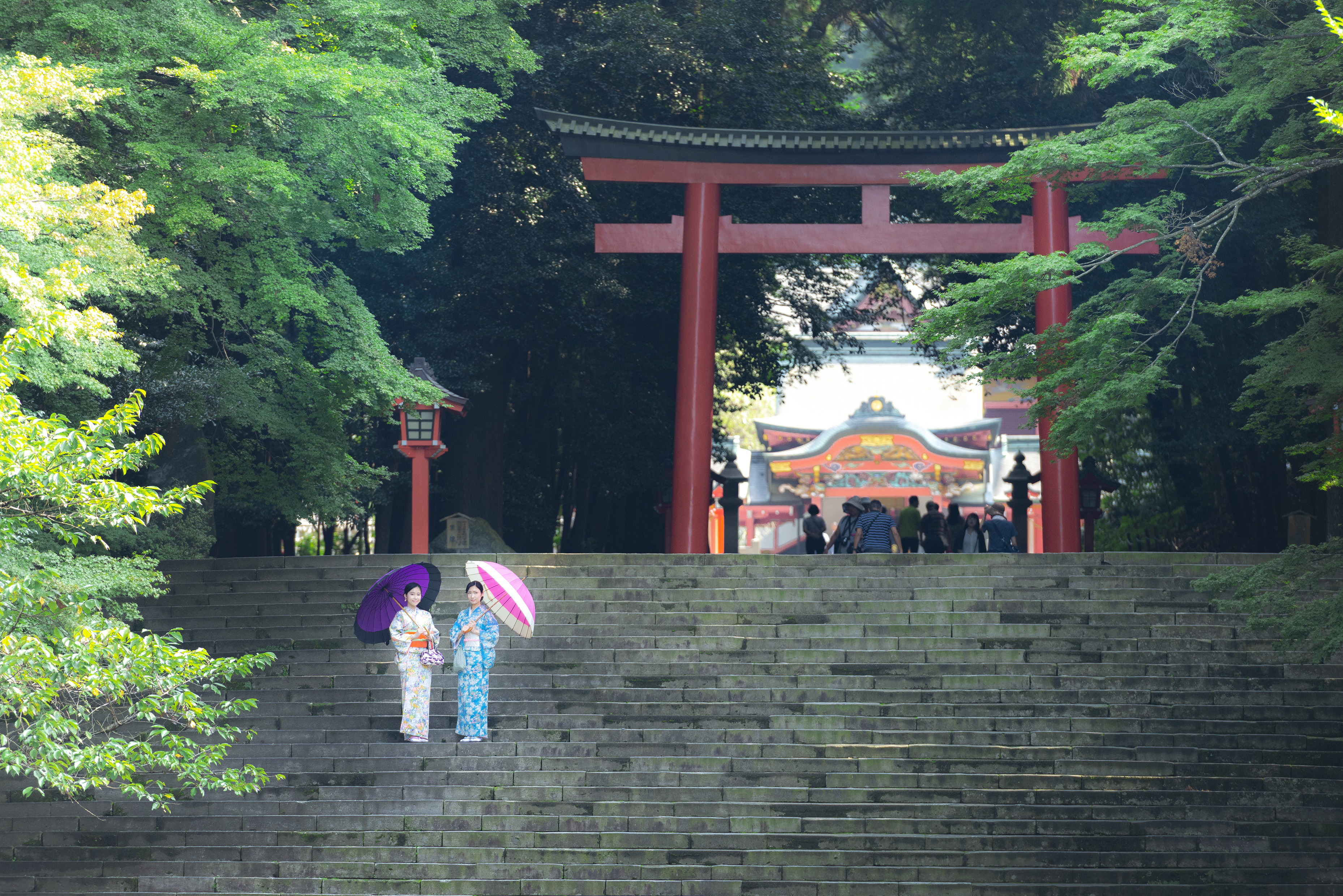 和服で参拝 ぶらり霧島神宮