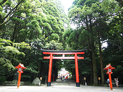 霧島神宮 参道