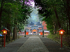 霧島神宮 参道